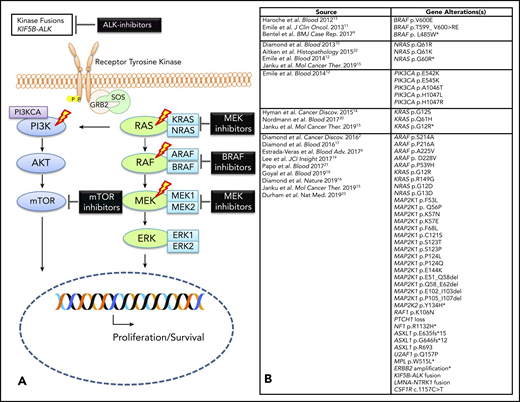 Molecular alterations in ECD. (A) Graphic depicting MAPK pathway signaling in ECD with therapeutic targets. The lightning bolts indicate the most common genes that are altered in ECD. (B) Composite of all somatic alterations (mutations and fusions) that have been reported in ECD to date. *Mutations identified in plasma cell-free DNA analysis only; therefore, these could reflect somatic mutations from another diagnostic entity (eg, clonal hematopoiesis).