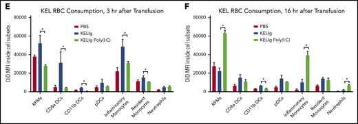 Poly(I:C) and KELIg immunoprophylaxis shift phagocytosis of transfused KEL RBCs away from CD8α DCs and toward inflammatory monocytes. (A) Gating strategy for splenic cell subsets. DiO-labeled KEL RBCs were transfused to animals treated with KELIg in the presence or absence of poly(I:C), and splenic cell subsets were evaluated at 3 and 16 hours posttransfusion (B-C). (D) Representative histograms for DiO RBC fluorescence patterns of splenic cell subsets, after first excluding TER119-positive RBCs on the exterior of the splenic cells, and DiO expression by the splenic cell subsets evaluated at 3 and 16 hours posttransfusion (E-F). These data are representative of 2 to 3 independent experiments with 3 mice per group per experiment (in total, 9, 9, and 9 mice were studied across 3 experiments for panels B and E; 6, 6, and 6 mice were studied across 2 experiments for panels C and F). *P < .05 between KELIg and KEL RBCs in the presence or absence of poly(I:C); error bars indicate standard deviation between mice. FSC, forward scatter; PBS, phosphate-buffered saline; pDCs, plasmacytoid dendritic cells; RPMs, red pulp macrophages.
