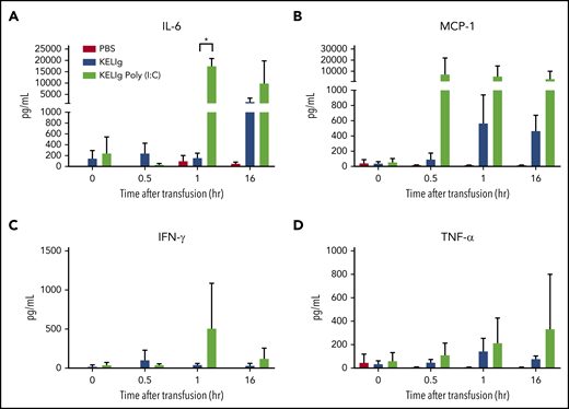 Multiple inflammatory cytokines are induced by poly(I:C) in the setting of KELIg immunoprophylaxis. Animals were treated with KELIg immunoprophylaxis and transfused with KEL RBCs, in the presence or absence of poly(I:C). Serum cytokines were evaluated prior to transfusion and at 0.5, 1, and 16 hours after transfusion using the LEGENDplex kit. (A) IL-6, (B) MCP-1, (C) IFN-γ, and (D) TNF-α are shown. There were no differences observed in the 2 other cytokines (IL-10 and IL-12) evaluated. These data are representative of 2 independent experiments with 3 mice per group per experiment using LEGENDplex and 2 additional experiments with 3 mice per group per experiment using a different platform (in total, 12, 12, and 12 mice were studied across 4 experiments). *P < .05 between KELIg and KEL RBCs in the presence or absence of poly(I:C); error bars indicate standard deviation between mice.