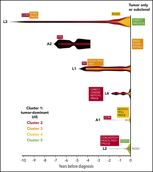 Evolution of the malignant clone in PBMC samples. As the tumors were considered to be clonal, the assumption was made that all high-frequency variants detected in the tumor tissue samples occurred within a single clone, which progressively accumulates additional mutations over time. Variants were manually clustered into groups according to the VAF of each variant at each time point (see supplemental Figure 2A-F). The mean VAF of variants in each cluster at each time point was normalized to the maximum VAF of tumor-associated variants detected in the blood (vertical height of fishplot at time zero = maximum VAF of all tumor-associated variants in the blood, using the formula: (mean VAF of a cluster of variants at a given time point)/(maximum VAF of all tumor-associated variants observed in the blood at any time point). The first time point at which a cluster containing driver mutations was detected is labeled in each case. Subdominant and tumor-only variants were excluded from this analysis and are listed on the right-hand side. Vertical lines indicate the time points at which targeted deep sequencing was carried out using the PSTS probe panel. Time zero indicates the time point at which each individual was diagnosed with ATL.