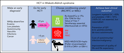 Diagnostic and therapeutic proposals for optimization of HCT in WAS. aGVHD, acute graft-versus-host-disease; BM, bone marrow; Bu, busulfan; CB, cord blood; cGVHD, chronic graft-versus-host-disease; D, donor; EBV, Epstein Barr virus; GF, graft failure; haplo, haploidentical; MAC, myeloablative conditioning; PBSC, peripheral blood stem cells; R, recipient; rATG, rabbit; RIC, reduced-intensity conditioning; RTC, reduced-toxicity conditioning; Treo, treosulfan; TDM, therapeutic drug monitoring; UCB, unrelated cord blood; WASp, Wiskott-Aldrich-Syndrome protein.