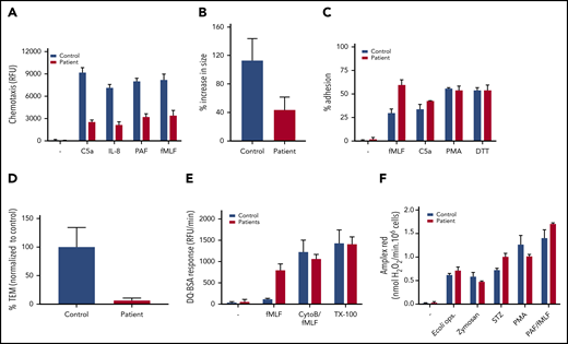 Neutrophil function tests. (A) Chemotaxis upon stimulation with C5a (10 nM), IL-8 (10 nM), PAF (100 nM), and fMLF (30 nM) measured using 3-µm pore–sized filters (mean + range, n = 2 of the index patient). (B) MKL1-deficient neutrophils show defective spreading behavior upon a 10-minute stimulation with fMLF (10 nM). Neutrophil spreading is quantified as the percentage of increase in size (mean + SEM, n = 1, 13-19 cells counted per condition). (C) Adhesion as percentage of total input upon stimulation with fMLF (1 µM), C5a (10 nM), PMA (100 ng/mL), or dithiothreitol (DTT, 1 mM) (mean + range, n = 2 of the index case). (D) Transendothelial migratory events were quantified and normalized to control neutrophils. Neutrophils from patient 2 were used (mean + standard error of the mean; n = 1, duplicate). (E) Protease release upon stimulation with fMLF (1 µM) or CytoB:fMLF (5 µg/mL:1 µM) or in a Triton X-100 lysate (TX-100) was determined by DQ Green BSA (mean + range, n = 3, both patients). (F) Extracellular reactive oxygen species production in response to opsonized E coli (0.25 × 109/mL), zymosan (1 mg/mL), serum-treated zymosan (STZ; 1 mg/mL), PMA (100 ng/mL), or PAF/fMLF (1 µM/1 µM) was measured using an Amplex Red assay (mean + range, n = 2, index patient).