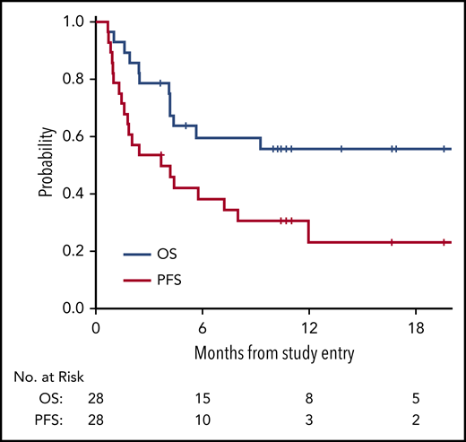 Kaplan-Meier survival curves assessed in all patients. OS curve (blue) and PFS curve (red) for all patients on trial (n = 28).