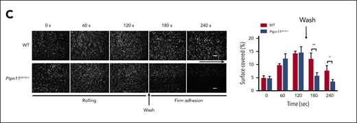 Figure 1C.