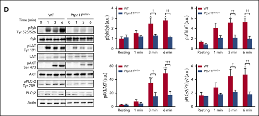 Figure 2D.