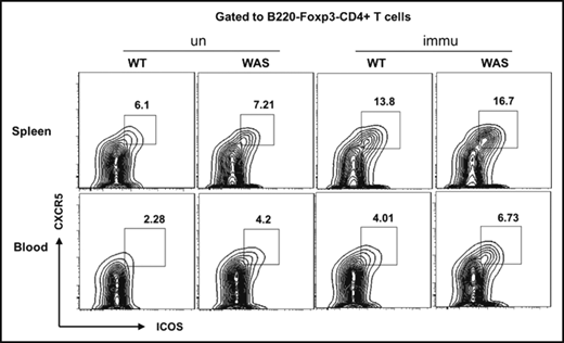 Figure 5I.