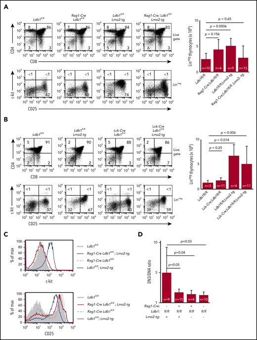 Deletion of Ldb1 reverses the abnormal phenotype of Lmo2-tg DN thymocytes. (A) Phenotype of Rag1-Cre;Ldb1fl/fl;Lmo2-tg mice. Upper panels: flow cytometry (FACS) analysis of total thymocytes from the indicated mice stained with fluorochrome-conjugated anti-CD4 and anti-CD8. Lower panels: gated linneg DN thymocytes stained with fluorochrome-conjugated anti-c-kit and anti-CD25 to delineate DN (1-4) subsets. One representative of 10 independent experiments. Right panel, numbers of linneg (DN) thymocytes from the indicated preleukemic 2- to 3-month-old mice. (B) Lck-Cre-mediated deletion of Ldb1 fails to normalize the Lmo2-tg phenotype. Upper panels: flow cytometry (FACS) analysis of total thymocytes from the indicated mice stained with fluorochrome-conjugated anti-CD4 and anti-CD8. Lower panels: gated linneg thymocytes stained with fluorochrome-conjugated anti-c-kit and anti-CD25 to delineate DN (1-4) subsets. One representative of 10 independent experiments. Right panel, numbers of linneg (DN) thymocytes from the indicated preleukemic 2- to 3-month-old mice. (C) Histograms showing surface expression of c-kit (upper) or CD25 (lower) on DN2/3 thymocytes from the indicated mice. One representative of 10 independent experiments. (D) Ratio of DN3:DN4 thymocytes in the indicated preleukemic 2- to 3-month-old mice. P values and number of mice per group are shown.