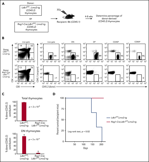 Transplantability (self-renewal potential) of Lmo2-tg thymocytes is lost following deletion of Ldb1. (A) Schematic of experimental strategy. (B) Left panels, FACS analysis of total thymocytes from recipient B6 (CD45.1) mice that had been sublethally irradiated and injected intravenously with thymocytes from an Ldb1fl/fl;Lmo2-tg (CD45.2) donor mouse (upper panel) or a Rag1-Cre;Ldb1fl/fl;Lmo2-tg (CD45.2) donor mouse (lower panel) 8 weeks before analysis. Right panels, CD45.1 vs CD45.2 staining of total (live gate) or gated DN, DP, CD4 single positive (CD4SP), or CD8SP thymocytes from the indicated recipient mice. Numbers are percentage of donor (CD45.2) thymocytes in each group. One representative of 3 experiments. (C) Percent thymocyte chimerism (total thymocytes, top; DN thymocytes, bottom) in recipient mice 8 weeks after thymocyte transfer. (D) Kaplan-Meier survival plot of recipient mice (n = 3 mice of each genotype).