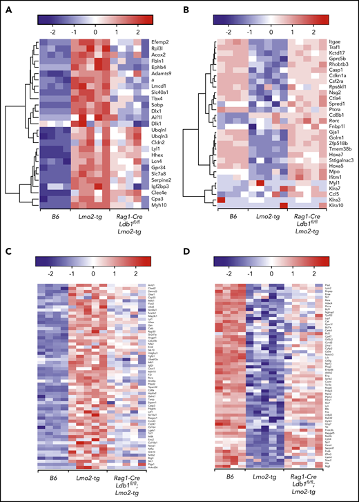 Ldb1 and Lyl1 control expression of a similar cohort of genes that are dysregulated in Lmo2-tg thymocytes. (A-B) Deletion of Ldb1 or Lyl1 has similar effects on gene expression in Lmo2-tg DN thymocytes. Shown are the expression of genes that are upregulated (A) or downregulated (B) in Lmo2-tg thymocytes and that are normalized by deletion of either Lyl137 or Ldb1. (C-D) Deletion of Ldb1 normalizes expression of genes reported to be upregulated (C) or downregulated (D) in human ETP-ALL.5,38 Results shown are from RNA-seq of DN2/3 thymocytes from B6, Lmo2-tg, or Rag1-Cre;Ldb1fl/fl;Lmo2-tg mice. For each of the genes shown in panels A-D, normalization of gene expression (ie, trending toward that of wt (B6) in Rag1-Cre;Ldb1fl/fl;Lmo2-tg thymocytes compared with Lmo2-tg was statistically significant (P < .05).