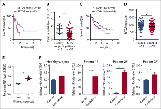 Low expression of SETD2 predicts a poor outcome in MDS patients. (A) Overall survival of patients with refractory anemia with excess blasts, a subtype of MDS, was stratified by SETD2 expression into SETD2 low (z score < −0.9; n = 13; median survival, 1.0 year) and normal (−0.9 ≤ z score ≤ 0.9; n = 50; median survival, 2.8 years) groups. Statistical significance was evaluated by log-rank test. (B) qPCR analysis of expression of SETD2 in BM mononuclear cells from healthy subjects (n = 13) and MDS patients (n = 35). (C) Overall survival of the MDS patients stratified by CD34 expression. The absolute average of relative CD34 expression was used as the criterion to stratify the patients into CD34 low (n = 91; median survival, 4.4 years) and high (n = 92; median survival, 2.9 years) groups. (D) Differential expression of SETD2 in the CD34+ cells of MDS patients with CD34 low (L) and high (H) expression. The same criterion was used to stratify the patients as in panel C. (E) qPCR analysis of SETD2 expression in the BM CD34+ cells of the MDS patients with low or high platelet (PLT)/megakaryocyte counts. (F) qPCR analysis of SETD2 expression in the primary BM CD34+ cells treated with 5 nM decitabine or vehicle control for 48 hours. The patient samples in panels A, C, and D are from GEO (GSE19429) expression microarrays, and those in the other panels are from our own samples. *P < .05; **P < .01; ***P < .001; ****P < .0001.
