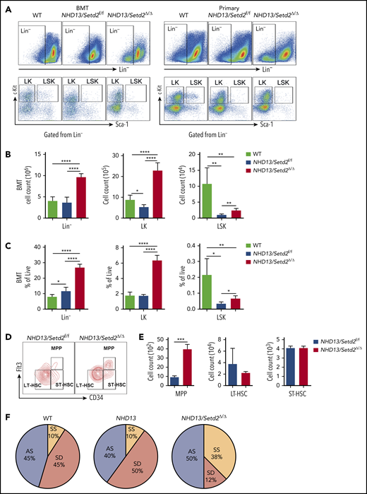 Loss of Setd2 promotes self-renewal of HSCs in the NHD13 mouse model. (A) Representative flow cytometry profiles of the Lin−, LK, and LSK cells in the BM of the transplant-recipient mice (left) and the primary BM cells (right) of the NHD13/Setd2f/f or Mx1-Cre/NHD13/Setd2f/f mice at 4 weeks after poly(I:C) injection. (B-C) Quantification of the numbers (B) and frequencies (C) of the Lin−, LK, and LSK cells in the BM of the transplant-recipient mice. (D-E) Representative flow cytometry profiles (D) and quantification of the frequencies (E) of the MPPs, LT-HSCs, and ST-HSCs of the NHD13/Setd2f/f and NHD13/Setd2Δ/Δ mice at 4 weeks after poly(I:C) injection. (F) The paired daughter cell assay analysis of the LSK cells isolated from BM of the NHD13/Setd2f/f or NHD13/Setd2Δ/Δ mice at 4 weeks after poly(I:C) injection. *P < .05; **P < .01; ***P < .001; ****P < .0001. AS, asymmetric self-renewal division; SD, symmetric commitment division; SS, symmetric self-renewal division.