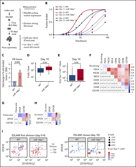 Loss of miR-146a alters quiescence, myeloid differentiation, and primitiveness of HSCs. (A) Strategy for determining quiescence, proliferation, and differentiation of single ESLAMs. (B) Single-ESLAM proliferation kinetics of WT vs miR-146a−/− (n = 97; 101 cells). (C) Percentage of single ESLAMs divided at 24 hours in culture, expressed as mean (±SEM) fold change relative to WT (n = 6; 5 replicates; P by Student t test). (D) Number of live cells produced from single ESLAMs after 10 days in culture (n = 34; 32 ESLAMs; P by Student t test). (E) Number of myeloid progenitor-like LK cells produced per single ESLAM clone shown in panel D (P by Student t test). (F-H) Pearson correlation coefficients and P-values (*P < .05; **P < .01, ***P < .001) for index sorting parameters vs (F) first cell division timing (Div.timing), determined in panel B; (G) clone size, determined in panel D; and (H) LK cell count (LK.count) per ESLAM clone, determined in panel E. (I) Relationship of EPCRhi/CD150hi ESLAM subpopulation (dashed boxes) to cell division timing (left), clone size, and LK cell count per clone (right), determined in panels B-E.