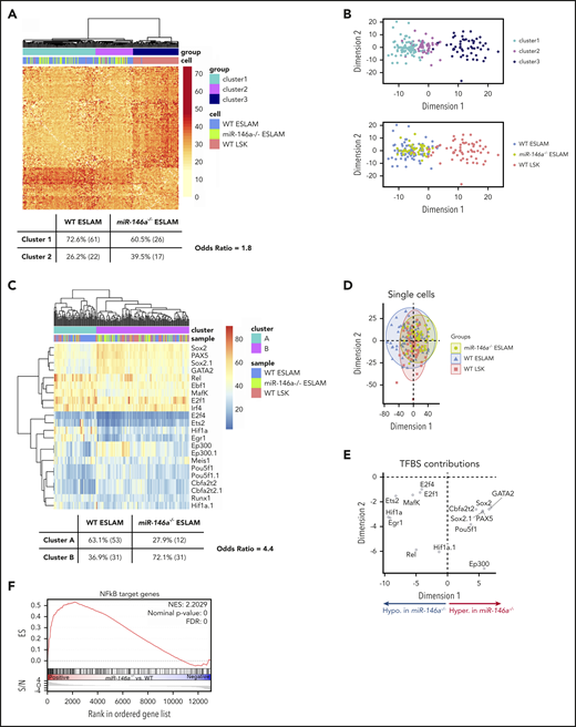 Loss of miR-146a alters epigenetic state consistent with altered HSC proliferation, differentiation, primitiveness, and function. (A) Distance matrix of pairwise cell similarity within HSC regulatory genes between single-cell DNA methylation profiles of miR-146a−/− ESLAMs, WT ESLAMs, and WT LSKs (n = 43, 84, 64 cells, respectively). Unsupervised clustering relationships and Fisher’s exact test odds ratio are shown. (B) Multidimensional scaling of distance matrix in panel A, showing relationships between cluster (top) and cell type (bottom). (C) Heat map of percentage methylation of DM-TFBSs in single cells from panel A. TFBS names with the suffix .1 indicate that 2 TFBS ChIP-seq profiles for the same TF, collected in different cell types, were identified. Unsupervised clustering relationships and Fisher’s exact test odds ratio are shown. (D) Principal component analysis (PCA) of single-cell DM-TFBS methylation profiles in panel C. (E) TFBS contributions to PCA in panel D. Based on cell type contributions to dimension 1 shown in panel D, TFBSs hypermethylated in miR-146a−/− ESLAMs appear on the right, and the hypomethylated ones appear on the left. (F) GSEA plot showing enrichment of NF-κB target genes in miR-146a−/− vs WT LSK HSPCs. ChIP-seq, chromatin immunoprecipitation sequencing; FDR, false discovery rate; NES, normalized enrichment score.