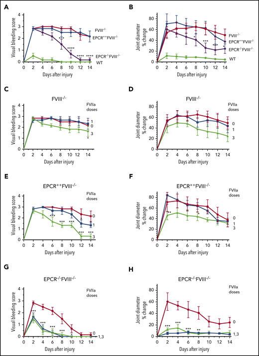 Effect of EPCR deficiency and rFVIIa treatment on joint bleeding and joint edema in hemophilia A mice following needle puncture of joint. Joint bleeding was initiated by needle puncture injury. Joint bleeding was evaluated by physical examination of knee joints and assigning an arbitrary score (A,C,E,G). Knee joint diameter, before the injury and alternate days for 2 weeks following the injury, was measured using electronic calipers. The diameter of the knee joint before the injury was subtracted from the diameter following the injury, and the differences in the diameter were plotted as the percentage (B,D,F,H). (A and B) WT (green), FVIII−/− (red), EPCR++FVIII−/− (blue), and EPCR−/−FVIII−/− (magenta) mice following needle puncture of joints. (C-D) FVIII−/− mice that were left untreated (red) or treated with a single dose (at 20 minutes following needle puncture, blue) or 3 doses (at 20 minutes, day 1 and day 3 following needle puncture, green) of rFVIIa (1 mg/kg). (E-F) EPCR++FVIII−/− mice that were left untreated (red) or treated with a single dose (blue) or 3 doses (green) of rFVIIa following needle puncture-induced joint bleeding. (G-H) EPCR−/−FVIII−/− mice that were left untreated (red) or treated with a single dose (blue) or 3 doses (green) of rFVIIa following needle puncture injury. Data are plotted as mean ± standard error of the mean (SEM) (n = 6). The data were analyzed by 2-way analysis of variance with Tukey’s multiple comparison test. Statistically significant differences identified in panels A and B were between FVIII−/− and EPCR−/−FVIII−/− mice. In other panels, statistical significance was determined between untreated and rFVIIa-treated groups. *P < .05; **P < .01; ***P < .001; ****P < .0001.