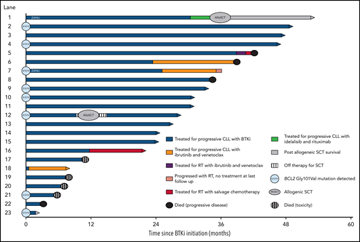 Modified version of Figure 1A from Lin et al showing individual patient outcomes with BTKi treatment after progression while receiving venetoclax. Median PFS was 34 months. See Figure 1A in the article by Lin et al that begins on page 2266.