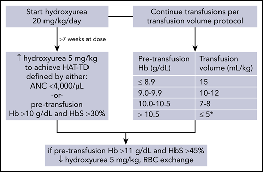 Hydroxyurea and transfusion management protocol. *Consider postponing transfusion by 1 week if recent Hb S <35%.
