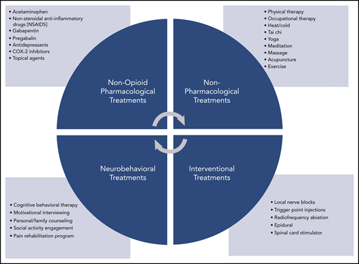 Pain treatment strategies. Potential non-opioid treatment strategies by category.