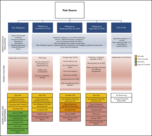 Opioid monitoring algorithm. Suggested patient screening regimens for OUD during opioid prescribing based on patient condition and OUD risk. AML, acute myeloid leukemia; CLL, chronic lymphocytic leukemia; Exp., example; Hx, history; SUD, substance use disorder.
