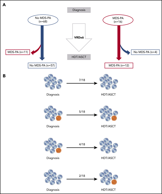 Dynamics of MDS-PA and clonal hematopoiesis before and after autologous transplant. (A) Longitudinal screening of MDS-PA in 84 patients at diagnosis and at day 100 after HDT/ASCT. (B) Distribution of patients (n = 18) according to the detection of mutations in both time points. VRD, bortezomib, lenalidomide, and dexamethasone.