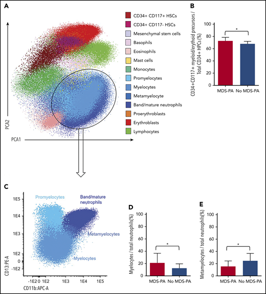 Altered hematopoiesis in patients with MDS-PA. (A) Identification of various immature and mature cell types in the tumor microenvironment of a representative patient, using multidimensional flow cytometry and principal component analysis (PCA): CD34+CD117+ myeloid/erythroid and CD34+CD117– lymphoid precursors within CD34+ HPCs, mesenchymal stem cells, basophils, eosinophils, mast cells, monocytes, 4 neutrophil subsets (promyelocyte, myelocyte, metamyelocyte, and band/mature neutrophils), 2 nucleated red blood cell subsets (proerythroblasts and erythroblasts), and lymphocytes. (B) Percentage of CD34+CD117+ myeloid/erythroid precursors within CD34+ HPCs in patients with (n = 33) or without (n = 243) MDS-PA at diagnosis. (C) Immunophenotypic characterization of neutrophil maturation dissected into the promyelocytic, myelocytic, metamyelocytic, and band/mature neutrophil stages based on differential expression of CD11b and CD13. (D) Percentage of myelocytes within the neutrophil compartment in patients with (n = 22) or without (n = 62) MDS-PA after HDT/ASCT. (E) Percentage of metamyelocytes within the neutrophil compartment in patients with (N = 19) or without (N = 40) MDS-PA at diagnosis. *P ≤ .05.