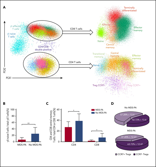 Patients with MDS-PA display altered T-cell regeneration after autologous transplant. (A) Identification of various T-cell subsets using multidimensional flow cytometry and principal component analysis (PCA) in patients with (n = 9) or without (n = 33) MDS-PA: naive, central memory, effector memory, transitional memory, and terminally differentiated CD4 T cells, CCR7-negative and CCR7-positive Tregs, naive, central memory, effector memory, effector, and terminally differentiated CD8 T cells, as well as naive and effector memory TCRγδ T cells. Percentages of γδ naive T cells within total γδ T cells (B), CD4 and CD8 central memory within their respective CD4 and CD8 compartments (C), and CCR7-negative and CCR7-positive subsets within Tregs (D). *P ≤ .05; **P ≤ .01.