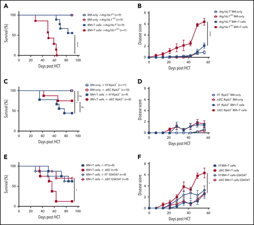 ATG16L1 in the intestinal epithelium protects against lethal GVHD mediated by RIPK1 and RIPK3. (A) Survival of Atg16L1f/f and Atg16L1ΔIEC mice receiving a chemotherapy conditioning regimen and transplanted with 5 × 106 T-cell–depleted BM cells, with or without 4 × 106 splenic T cells from donor LP/J mice. (B) Disease scores (see “Methods”) evaluated every 7 days after allo-HCT in (A). (C) Survival of chemotherapy-pretreated f/f Ripk3−/− and Atg16L1ΔIEC × Ripk3−/− (ΔIEC Ripk3−/−) mice transplanted with 5 × 106 T-cell–depleted BM cells, with or without 4 × 106 splenic T cells from donor LP/J mice. (D) Disease scores evaluated every 7 days after allo-HCT in (C). (E) Survival of chemotherapy-pretreated Atg16L1f/f (f/f) and Atg16L1ΔIEC (ΔIEC) mice that received GSK547 or control chow and were transplanted with 5 × 106 T-cell–depleted BM cells and 4 × 106 splenic T cells from donor LP/J mice. GSK547 was started 10 days before allo-HCT and continued until the end of the study. (F) Disease scores evaluated every 7 days after allo-HCT in (E). Data points in A, C, and E represent individual mice and are the combined results of 2 experiments performed independently. Data points in B, D, and F are mean disease scores of viable mice. Bars represent means ± standard error of the mean. For disease score, the area under the curve was determined for each mouse. *P < .05, ****P < .0001 analysis of variance with Tukey’s multiple-comparison test. HCT, hematopoietic cell transplantation; ns, not significant.