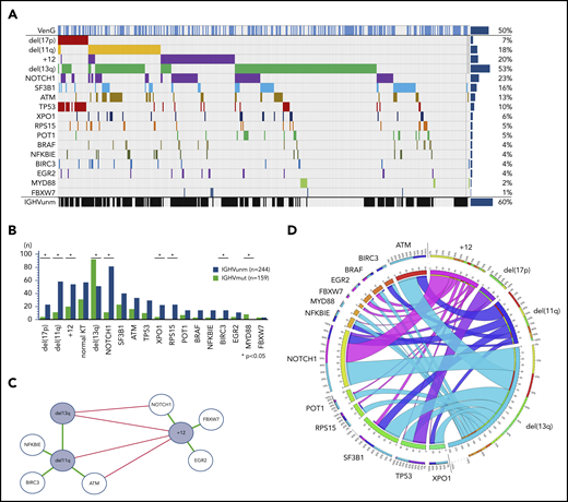 Incidence and associations of genetic parameters. (A) Distribution of markers (rows) in patients (columns) with overall incidence ordered by genetic parameters. (B) Distribution of gene mutations in the IGHV mutation status subgroups. Y axes provides full number of mutated/unmutated IGHV status per subgroup. X axes comprise cytogenetics parameters sorted according to the hierarchical model and mutated candidate genes sorted by incidence. (C) Genetic markers show significant (P < .05) co-occurrence (green lines) and mutual exclusivity (red lines) and cluster in a dichotomy of del(13q)/del(11q) and +12 and adjacent gene mutations. (D) Circos plot of the co-occurrence of gene mutations with chromosomal aberrations. Lengths of arcs correspond to total incidences of respective markers, and the width of each ribbon corresponds to the proportion of co-occurrence with a respective second marker.