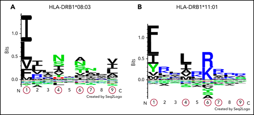 Logos displaying the binding motifs for HLA-DR molecules encoded by DRB1*08:03 and DRB1*11:01. The numbers shown on the x-axis indicate different pocket motifs. Each letter represents the abbreviation of an amino acid. Basic, acidic, and neutral amino acids are shown in blue, red, and green, respectively. The height of each column of letters is equal to the information content at the given position in the binding motif. The relative height of each letter within each column reflects the percentile of the frequency of each amino acid at that pocket. Pocket motifs 1, 4, 6, 7, and 9, circled in red, play essential roles in peptide binding after antigen presentation. This figure shows that the peptide-binding motif of DR molecules encoded by HLA-DRB1*08:03 (A) may differ from that of DR molecules encoded by HLA-DRB1*11:01 (B).