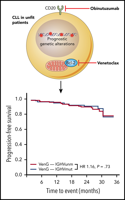 A novel combination of an anti-CD20 antibody obinatuzumab (G) and the Bcl-2 inhibitor venetoclax (Ven) provides a new solution for unfit CLL patients. This combination resulted in durable remissions on the CLL14 trial regardless of IGHV mutational status, therefore overcoming unmutated VH status as an indicator of poor prognosis. HR, hazard ratio; IGHVmut, IGHV mutated; IGHVunm, IGHV unmutated.