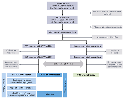 Overview of the study design and patient flow. FFPE tissue samples of 870 FL specimens were subjected to NanoString-based GE measurements. Following quality control and normalization, 680 of 870 tumor samples (78%) remained and were subsequently analyzed to develop a prognostic model in advanced-stage FL (n = 556; separated into training and validation cohorts) or to investigate for the differential GE of localized-stage FL (n = 110) and advanced-stage FL.