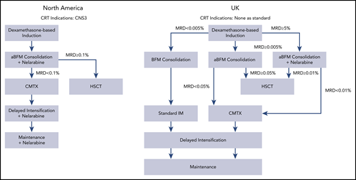 Overview of current North American and UK T-ALL recommended treatment approaches.