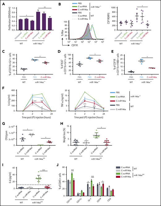 C-miR146a corrects the aberrant myeloproliferation and inflammatory responses in miR-146a–deficient mice. (A-B) Reduced proliferation of miR-146a−/− BMDMs treated with C-miR146a. Bone marrow cells from WT and miR-146a−/− mice were cultured in the presence of 50 ng/mL of M-CSF for 7 days and treated by using 1 µM of C-miR146a or C-scrRNA. The cell proliferation was measured by using colorimetric XTT assay (A), and the CSF1R expression on CD11b+F4/80+ cells was quantified by using flow cytometry (B). (C-E) Systemic C-miR146a injections reduced aberrant myeloproliferation of miR-146a−/− mice in vivo. Ten-month-old WT or miR-146a−/− female mice (n = 4/group) were injected intravenously by using 10 mg/kg of C-miR146a or PBS daily for 2 weeks and euthanized 1 day after the last injection. Percentages of splenic CD11b+Gr1+ (C), Ki67+CD11b+Gr1+ (D), and the CSF1R expression on macrophages (E) were analyzed by using flow cytometry. (F) Systemic injections of C-miR146a alleviate exaggerated response to endotoxin in miR-146a−/− mice. WT or miR-146a−/− mice were injected intravenously with 5 mg/kg of C-miR146a or C-scrRNA daily for 3 days before LPS challenge (1 mg/kg, intraperitoneally). Blood was collected at the indicated times to analyze IL-6 and TNF-α levels using ELISA. (G-J) C-miR146a treatment restored tolerance to L monocytogenes infection in mice with myeloid cell–specific miR-146a deletion. WT or miR-146afl/fl mice injected daily intravenously by using 5 mg/kg of C-miR146a or C-scrRNA were infected with L monocytogenes on day 3 and euthanized on day 6. The liver bacterial load (G), the percentage of weight loss (H), plasma levels of IL-6 (I), and percentages of various hematopoietic cell populations in circulation (J) were assessed. Representative results from at least 2 independent experiments are shown; means ± SEM (n = 5/group). ***P < .001; **P < .01; and *P < .05 compared to untreated or as indicated. CFU, colony-forming unit.