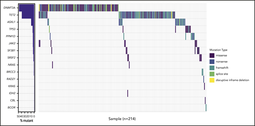 Waterfall plot of the 214 twins with a total of 286 mutations. Waterfall plot of the 214 (36%) cases with at least 1 mutation detected, accounting for a total of 286 mutations being 114 missenses, 76 frameshifts, 69 nonsenses, 21 splice sites, and 5 inframe deletions.