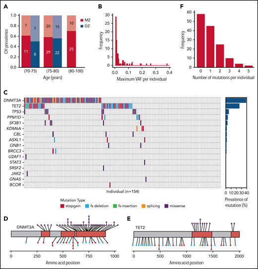 CH in individuals. (A) Red bars represent individuals in MZ twin pairs; blue bars represent those in DZ pairs. Dark red/blue (lower stacks) depict the proportions with CH; pale red/blue (upper stacks) depict those without CH. Absolute numbers of individuals in each proportion are shown within each bar. There were no DZ individuals above the age of 80 years. (B) Distribution of the maximum VAF per individual among those with CH. VAFs are divided into 0.5% bins. (C) In the main grid, each column represents 1 individual, and each row 1 gene. If a grid square is colored, a mutation was detected, and the specific color indicates the mutation type (see key). The plot on the right shows the proportion of the cohort harboring a mutation in each gene. (D-E) Somatic variants identified in DNMT3A (D) and TET2 (E). Conserved/functional protein domains are colored red, and intervening domains gray. Each circle connected to the protein cartoon represents a mutation. Missense mutations are represented above and truncating mutations below the protein, with the color of the circle indicating specific mutation type (as per the key in panel C). (F) Distribution of the total number of mutations per individual. fs, frameshift.
