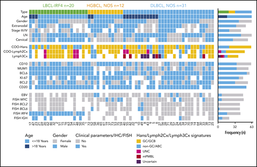 Overview of clinical and histological findings in 63 pediatric and young adult LBCL cases. Each column of the heatmap represents 1 LBCL case and each line a specific analysis. On the right side of the figure, the frequency of the particular result of the analysis is shown. LN, lymph node; UNC, unclassified.