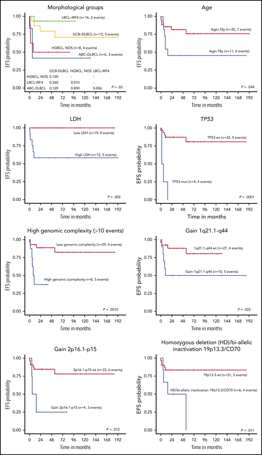 EFS of 45 pediatric and young adult LBCL cases according to morphological and molecular subtypes, age, LDH levels, and specific molecular features. wt, wild type.