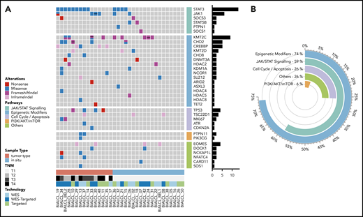 Mutational landscape of BI-ALCL. (A) Whole-exome sequencing and/or TDS in 34 BI-ALCLs. The heatmap of most significantly mutated genes is ordered according to biological pathways. (B) Functional pathways involved in BI-ALCL genomic abnormalities. The percentages refer to the frequency of alterations in the respective pathways.