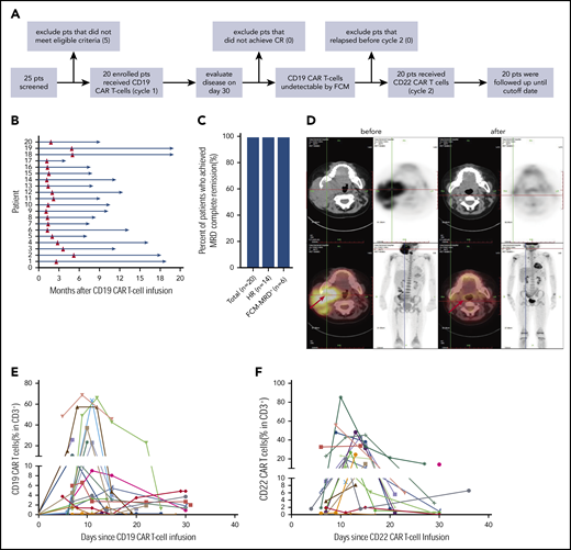 Response to CAR T-cell therapy. (A) The flowchart of the trial. (B) Time course of 2 cycles of CAR T-cell therapy in 20 individuals. (C) The rate of MRD− CR in all patients, those with hematological relapse, and those with refractory FCM-MRD+ disease. The total number of patients and those in the different groups are indicated in brackets. (D) Leukemia lesions in a patient before and after CAR-T-cell therapy, detected by whole-body position-emission tomography (PET)/computed tomography (CT). (E) CAR T-cell expansion in PB of 20 patients after CD19 (E) and CD22 (F) CAR T-cell infusion.