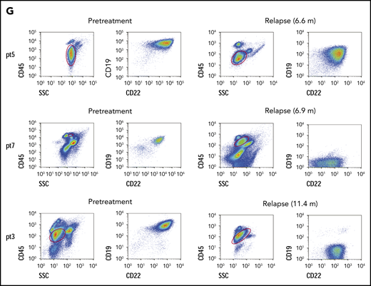Long-term outcome. (A) LFS of all patients who received sequential CAR T-cell therapy. (B) Overall survival of patients who received sequential CAR T-cell therapy. (C) LFS comparison after CAR T-cell therapy between patients without or with the TP53 mutation. (D) Normal CD19+ B cells in every patient’s BM after sequential CD19 and CD22 therapy. The red lines indicate patients with relapse, and the last time point represents the diagnosis of relapse. (E) Recovery of immunoglobulin and normal B cells in BM among 20 patients, determined by immunoturbidimetry and FCM, respectively. (F) The probability of relapse rate associated with immunoglobulin recovery. (G) Leukemic CD19 and CD22 expression in the 3 patients with relapse, determined by FCM. In panels A and B, dashed lines indicate 95% confidence intervals. In all panels, the tick marks indicate the time of data censored at the last follow-up.