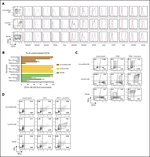 hnCD16-iPSC–derived NK cells are functionally mature and do not downregulate CD16 expression upon activation. (A) Unmodified iNK cells, hnCD16-iNK cells, and adult PB-NK cells were stained and analyzed by flow cytometry for CD56 and CD16 and the indicated NK cell surface receptors. In each panel, red line: isotype control; blue line: stained sample. Data were repeated independently in 3 separate experiments. (B) hnCD16-iNK cells, unmodified iNK cells, or PB-NK cells were stimulated as indicated for 4 hours, and CD16 expression was determined by flow cytometry (n = 4-6 per group). (C) Representative flow cytometric analysis of CD16 and TNF-α expression on unmodified iNK cells, hnCD16-iNK cells, and PB-NK cells that were left unstimulated or stimulated with K562 cells or PMA/ionomycin. (D) Representative flow cytometric analysis of intracellular TNF-α and IFN-γ production after a 4-hour incubation with culture media only (unstimulated), with P815 cells, or with P815 cells + anti-CD16 antibody. Data in panels C-D were repeated in 3 separate experiments.
