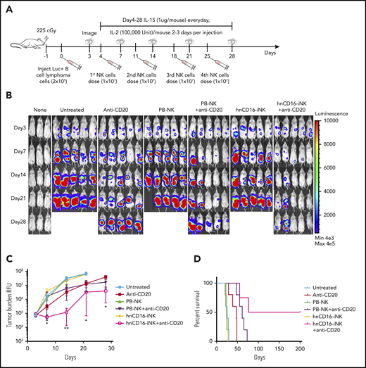 Multiple doses of hnCD16-iNK cells effectively mediate improved ADCC in vivo against B-cell lymphoma. (A) Schema of multiple NK cell dosing study. NSG mice were inoculated intraperitoneally with 2 × 105 Luc-expressing Raji cells, and tumor engraftment was assessed by IVIS imaging 3 days later for a baseline pretreatment reading. On day 4 after transplant, mice were left untreated or were treated with 1 × 107 PB-NK cells or hnCD16-iNK cells, alone or in combination with 300 μg of rituximab weekly for 4 weeks. NK cells were supported by injection of IL-15 for the first week and by injection of IL-2 for 3 weeks. IVIS imaging was done weekly to monitor tumor progression. (B) Tumor burden was determined by BLI over the first 28 days. (C) Time course of IVIS imaging. Data are mean ± SEM for the mice in panel B. Anti-CD20 vs PB-NK+anti-CD20 not significant for all data points, 2-tailed Student t test. (D) Kaplan-Meier curve representing the percent survival of the experimental groups. The median survival for the untreated group and the groups treated with Anti-CD20, PB-NK+anti-CD20, and hnCD16-iNK+anti-CD20 are 25, 47, 61, and 76 days, respectively. Anti-CD20 vs PB-NK+anti-CD20, P = .0185; anti-CD20 vs hnCD16-iNK+anti-CD20, P = .0065; PB-NK+anti-CD20 vs hnCD16-iNK+anti-CD20, P = .0485; 2-tailed log-rank test. *P < .05, **P < .01, anti-CD20 vs hnCD16-iNK+anti-CD20, 2-tailed Student t test.