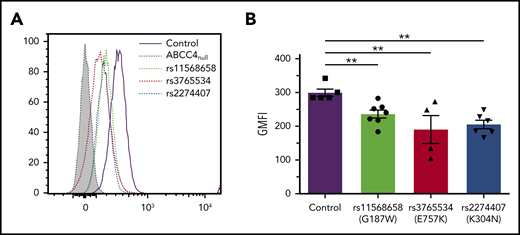 Impact of genetic variation in the ABCC4 gene on PEL expression levels. (A) Flow cytometry profiles of PEL expression in different red cell variants of ABCC4. (B) Corresponding geometric mean of fluorescence (GMFI) of PEL antigen expression in different variants of ABCC4. PEL expression was analyzed using an anti-PEL eluate. Heterozygous variants in ABCC4 were selected from our own RBC bio-collection. All mutations were confirmed by Sanger sequencing. Statistical analyses for significance were performed using the Mann-Whitney test. **P < .005.