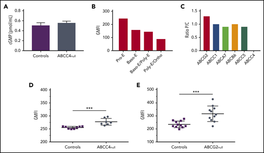 Role of ABCC4 in erythroid cell. (A) cGMP levels in RBCs from control (n = 7) and PEL-negative (n = 7) individuals. Data are mean ± standard error of the mean. (B) ABCC4 expression during terminal erythroid differentiation. Erythropoiesis was monitored via CD49d and band3 levels of GPApos cells and May-Grunwald Giemsa-staining. The ABCC4 expression was determined on the GPApos cells, using the anti-PEL eluate. (C) P/C ratios for ABC transporter expression in RBC membranes from 3 PEL-negative ABCC4 null individuals (P) and 3 control individuals (C). The P/C ratio was determined after normalization of the LFQ intensity of ABC transporter proteins by the LFQ intensity of actin. (D) The GMFI of ABCG2 expression in ABCC4null (n = 7) and control (n = 8) RBCs was analyzed by flow cytometry, using an anti-ABCG2 antibody. ***P = .0002, using the Mann-Whitney test. (E) The GMFI of ABCC4 expression in ABCG2null (n = 11) and control (n = 11) RBCs was analyzed by flow cytometry, using an anti-PEL. ***P=.0007, using the Mann-Whitney test.