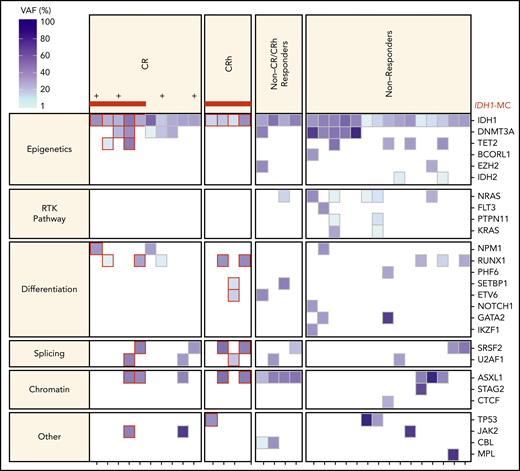 Baseline co-occurring mutations by functional category and clinical response status (n = 33*). RTK pathway mutations were not observed in patients achieving CR/CRh responses (P = .01 by Fisher exact test). *One patient enrolled in dose-escalation phase was positive for the IDH1-D54N mutation by local testing and was not positive for the IDH1-R132 mutation by the companion diagnostic test; this patient was therefore excluded from the efficacy analyses. + indicates patients with treatment duration of >32 months. Red horizontal bars indicate IDH1 mutation clearance. IDH-MC, IDH-mutation clearance.