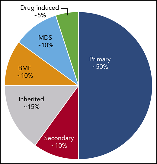 An estimate of the incidence of primary ITP vs other diagnoses in patients defined as having “refractory ITP.” These percentages may vary considerably depending on the clinical setting and geographical location. BMF, bone marrow failure syndromes.