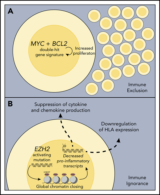 Mechanisms associated with noninflamed lymphoma environments. (A) Double-hit lymphomas or those expressing a so-called double-hit gene signature exhibit strong cell autonomous growth and survival programs and are often characterized by an intrinsically high proliferation rate, which may function to exclude immune cells from entering the lymphoma environment, thereby preventing the generation of a host antilymphoma immune response. (B) Activating EZH2 mutations lead to increased deposition of repressive histone marks (H3K27me3) on genes involved in B-cell differentiation, expression of HLA class I and class II molecules, and expression of chemokines required to recruit activated T cells to the lymphoma environment, rendering the host immune system ignorant to the presence of these tumors.