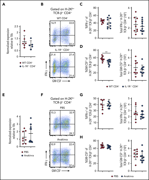 IL-1 is not required for Bhlhe40 expression or GM-CSF production in colon-derived CD4+ T cells during GVHD. (A-D) Lethally irradiated Balb/c mice were transplanted with B6 Rag-1−/− BM (5 × 106) supplemented with 1 × 106 purified CD4+ T cells from WT or IL-1R−/− mice. (A) Bhlhe40 expression in flow-sorted H-2Kb+ TCR-β+ CD4+ cells from the colons of mice 14 days posttransplantation by quantitative reverse transcription polymerase chain reaction is shown. Fold change expression was normalized to the median expression of Bhlhe40 over 18S. Results are from 2 experiments with 5 to 6 mice per group. (B) Representative flow plots gated on H-2Kb+ TCR-β+ CD4+ cells depicting production of GM-CSF and IFN-γ in the colons of mice 14 days posttransplantation. (C-D) The frequency and total number of donor-derived CD4+ T cells in the colon producing IFN-γ (C) or GM-CSF (D). Results are from 2 experiments with 9 to 10 mice/group. (E-H) Lethally irradiated Balb/c mice were transplanted with B6 BM (5 × 106) supplemented with 1 × 106 purified CD4+ T cells from WT mice. Recipient mice received intraperitoneal injections of either Anakinra or PBS, as described in the supplemental Methods. (E) Bhlhe40 expression in flow-sorted H-2Kb+ TCR-β+ CD4+ cells from the colons of mice 14 days posttransplantation by quantitative polymerase chain reaction is shown. Fold change expression was normalized to the median expression of Bhlhe40 over 18S. Results are from 2 experiments with 8 to 10 mice/group. (F) Representative dot plots gated on H-2Kb+ TCR-β+ CD4+ depicting expression of GM-CSF and IFN-γ in the colons of mice 14 days posttransplantation. (G-H) The frequency and total number of donor-derived CD4+ T cells producing IFN-γ (G) or GM-CSF (H). Results are from 2 experiments with 9 to 10 mice/group. **P < .01.