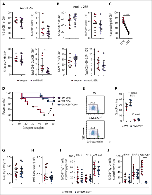 CD4+ T-cell–derived GM-CSF drives inflammation in the colon during GVHD independent of IL-6 and IL-23. (A-B) Lethally irradiated Balb/c mice were transplanted with B6 BM and B6 spleen cells (adjusted to yield an αβ+ T cell dose of 0.8 × 106). Animals were treated intraperitoneally on a weekly basis with an anti-IL-6R (panel A) or anti-IL-23R (panel B) antibody or an appropriate isotype control (n = 8-11/group). The frequency and absolute number of CD4+ GM-CSF+ and CD8+ GM-CSF+ T cells in the colon are shown for each antibody-treated cohort 3 weeks post transplantation. Data are from 2 experiments for anti-IL-6R and 3 experiments for anti-IL-23R. (C) Percentage of GM-CSF expressing donor-derived CD4+ and CD8+ T cells in the colon of mice transplanted as in panel A that were treated with an isotype control antibody. Data were compared using a paired t test. (D) Balb/c mice were transplanted with Rag-1−/− BM alone (5 × 106; n = 6) or together with purified CD4+ T cells (1.1 × 106) from WT (n = 10) or GM-CSF−/− (n = 10) mice. Results are from 2 experiments. (E-F) Magnetically purified CD4+ T cells (1 × 105) from WT or GM-CSF−/− mice were labeled with Cell Trace Violet and cultured with allogeneic Balb/c CD11c-enriched dendritic cells (DCs; 5 × 104) for 3 days. Representative flow plots gated on CD4+ H2-Kb+ cells showing cell trace dye dilution is shown in panel E. The percentage of Cell Tracelo CD4+ T cells in the presence or absence of DCs from replicate experiments (n = 4) is depicted in panel F. (G-J) Balb/c mice were transplanted with B6 Rag-1−/− BM (5 × 106) plus 0.4 × 106 CD4+ T cells in a 1:1 ratio from B6.PL GM-CSF+/+ and B6 GM-CSF−/− animals (WT/ GM-CSF−/−), or B6 Rag-1−/− BM and a mixture of CD4+ T cells from B6.PL GM-CSF+/+ and B6 GM-CSF+/+ mice (WT/WT). Ratio of CD4+ Thy1.1/Thy1.2+ T cells in the colons of mice 21 days posttransplantation is depicted in panel G, and the total number of donor-derived T cells (Thy1.1+ and Thy1.2+) is shown in H. The percentage of CD4+ Thy1.1+ and Thy1.2+ T cells that produced IFN-γ, TNF-α, and GM-CSF is shown in panels I and J, respectively. Data are from 3 experiments with 13 to 15 mice/group. **P < .01; ****P < .0001.