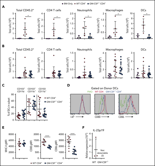 Donor CD4+ T-cell–derived GM-CSF promotes the activation of colonic dendritic cells. (A-E) Lethally irradiated Balb/c mice were transplanted with B6 Rag-1−/− BM (5 × 106) alone or together with 1 × 106 purified CD4+ T cells from WT or GM-CSF−/− mice. The gating strategy to delineate myeloid cell populations is shown in supplemental Figure 5. (A) The absolute number of donor-derived CD45.2+, CD4+ T cells, neutrophils, macrophages, and DCs in the colons of animals 21 days posttransplantation. Results are from a single experiment (n = 3-5/group). (B) The absolute number of donor-derived CD45.2+, CD4+ T cells, neutrophils, macrophages, and DCs in the colons of animals 13 days posttransplantation. (C) The percentage of donor-derived DCs that expressed CD103 and/or CD11b in the colon. Data in panels B and C are from 3 experiments (n = 9-13/group). (D) Representative histograms gated on donor CD64− MHC-II+ CD11c+ cells showing expression of MHC class II, CD80, and CD86 from mice receiving either WT or GM-CSF−/− CD4+ T cells compared with FMO controls. (E) Mean fluorescence intensity of MHC class II, CD80, and CD86 expression on donor CD64− MHC-II+ CD11c+ dendritic cells in replicate mice. Results are from 2 experiments (n = 9-10 per group). (F) mRNA expression of Il23a in sorted donor dendritic cells obtained from pooled colon lamina propria of mice receiving either WT or GM-CSF−/− CD4+ cells on days 13 to 15 posttransplant. Each data point represents pooled results from 5 animals. Data are from 3 independent groups of mice. *P < .05; ****P < .0001.