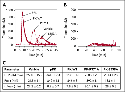 Effects of PK on thrombin generation in plasma. (A) Thrombin generation in PK-deficient plasma induced to clot with PTT-A reagent. Reactions were run in the absence of PK (vehicle; solid gray line) or in the presence of 600 nM plasma PK (pPK; heavy solid line), PK-WT (dashed line), PK-R371A (dotted line), or PK-S559A (dash-dotted line). (B) Same as panel A, but no PTT-A reagent was added. (C) Thrombin-generation parameters derived from the curves in panel A. Each curve represents means for reactions run in triplicate.
